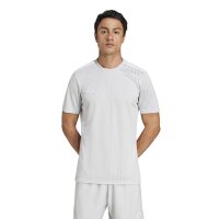 adidas Campeon 25 Trikot Herren - grau/weiß