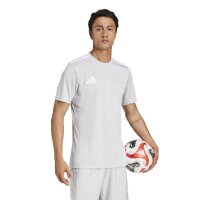 adidas Campeon 25 Trikot Herren - grau/weiß
