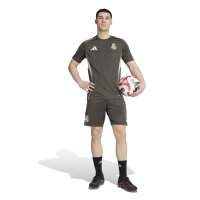 adidas Real Madrid Tiro 25 Competition Trainingstrikot 25/26 Herren - grau/grün