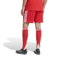 adidas FC Bayern München Shorts Home 25/26 Herren - rot/weiß