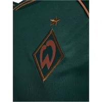 hummel SV Werder Bremen 3rd Trikot 25/26 Kinder - grün/bronze
