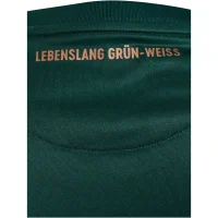 hummel SV Werder Bremen 3rd Trikot 25/26 Kinder - grün/bronze