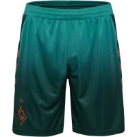 hummel SV Werder Bremen 3rd Shorts 25/26 Kinder -...