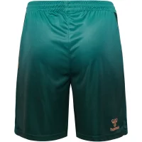 hummel SV Werder Bremen 3rd Shorts 25/26 Kinder -...