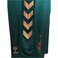 hummel SV Werder Bremen 3rd Shorts 25/26 Kinder - grün/bronze