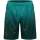 hummel SV Werder Bremen 3rd Shorts 25/26 Kinder - grün/bronze