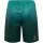 hummel SV Werder Bremen 3rd Shorts 25/26 Kinder - grün/bronze
