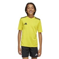 adidas Campeon 25 Trikot Kinder - gelb/schwarz