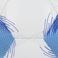 Derbystar Apus TT DB v25 Fußball - weiss/blau - 5