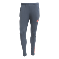 adidas FC Bayern Tiro 25 Competition Trainingshose Herren...