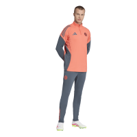 adidas FC Bayern Tiro 25 Competition Trainingshose Herren - grau/orange