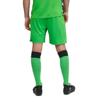 Puma Borussia Mönchengladbach Shorts Home 25/26 Herren - grün/schwarz