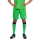 Puma Borussia Mönchengladbach Shorts Home 25/26 Herren - grün/schwarz