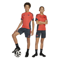 adidas FC Bayern München Tiro 25 Competition Kids...