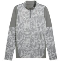 Puma teamCUP 1/4-Zip Trainingstop Herren - grau/hellgrau