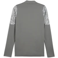 Puma teamCUP Trainingsjacke Herren - grau/hellgrau