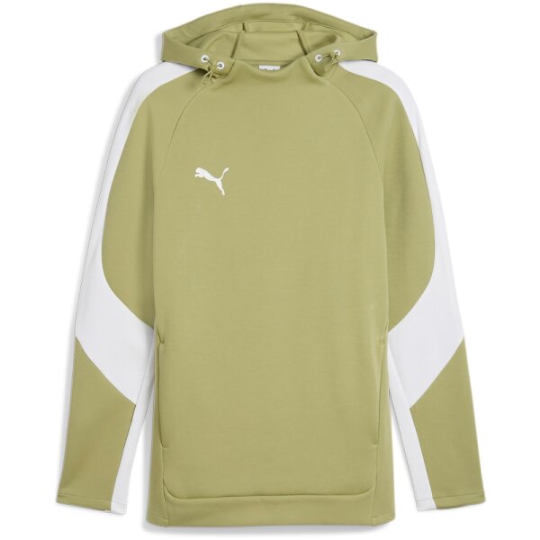 Puma teamEvostripe Hoodie Herren - grün/weiß