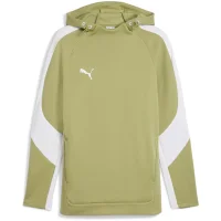 Puma teamEvostripe Hoodie Herren - grün/weiß