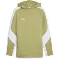 Puma teamEvostripe Hoodie Herren - grün/weiß