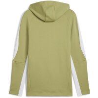 Puma teamEvostripe Hoodie Herren - grün/weiß