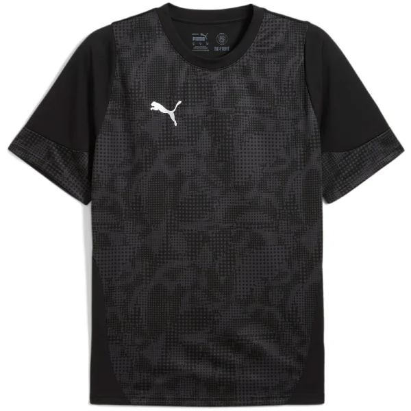 Puma teamCUP Trainingstrikot Herren - schwarz/grau