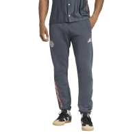 adidas FC Bayern München US Pack Jogginghose 25/26...