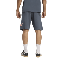 adidas FC Bayern München US Pack Shorts 25/26 Herren - grau/weiß/orange