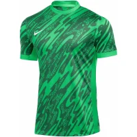 Nike Gardien V Torwarttrikot Herren - grün