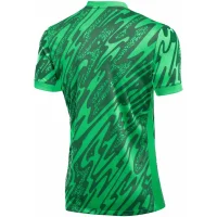 Nike Gardien V Torwarttrikot Herren - grün