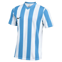 Nike Striped Division V Trikot Herren - weiß/hellblau