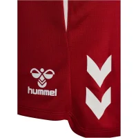 hummel 1. FC Köln Shorts 25/26 Herren - chilip pepper