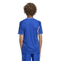 adidas Tiro 25 Competition Match Trikot Kinder - blau/weiß