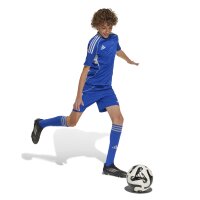 adidas Tiro 25 Competition Match Trikot Kinder - blau/weiß