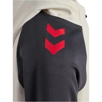 hummel 1. FC Köln Travel Kapuzenjacke 25/26 Kinder - marshmallow/asphalt