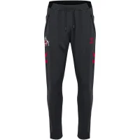hummel 1. FC Köln Travel Hose 25/26 - asphalt
