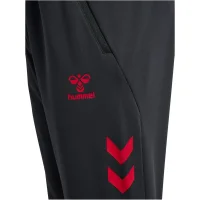 hummel 1. FC Köln Travel Hose 25/26 - asphalt