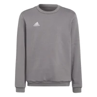 adidas Entrada 22 Sweatshirt Kinder - grau
