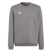adidas Entrada 22 Sweatshirt Kinder - grau 164