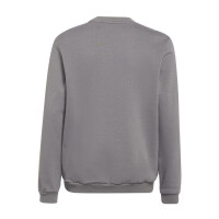 adidas Entrada 22 Sweatshirt Kinder - grau 164