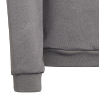 adidas Entrada 22 Sweatshirt Kinder - grau 164