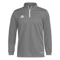 adidas Entrada 22 Langarmshirt Kinder - grau