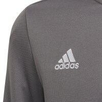 adidas Entrada 22 Langarmshirt Kinder - grau