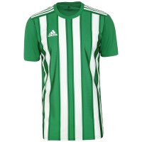 adidas Striped 21 Trikot Herren - grün/weiß S