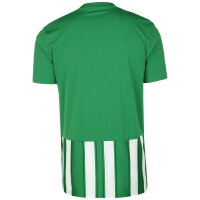 adidas Striped 21 Trikot Herren - grün/weiß S