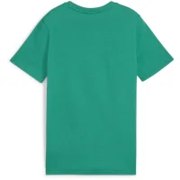 Puma teamGOAL Casuals T-Shirt Kinder - grün