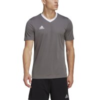 adidas Entrada 22 Trikot Herren - grau/weiß