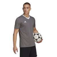 adidas Entrada 22 Trikot Herren - grau/weiß