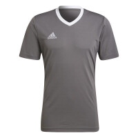 adidas Entrada 22 Trikot Herren - grau/weiß-XS