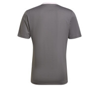 adidas Entrada 22 Trikot Herren - grau/weiß-XS