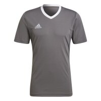 adidas Entrada 22 Trikot Herren - grau/weiß-L